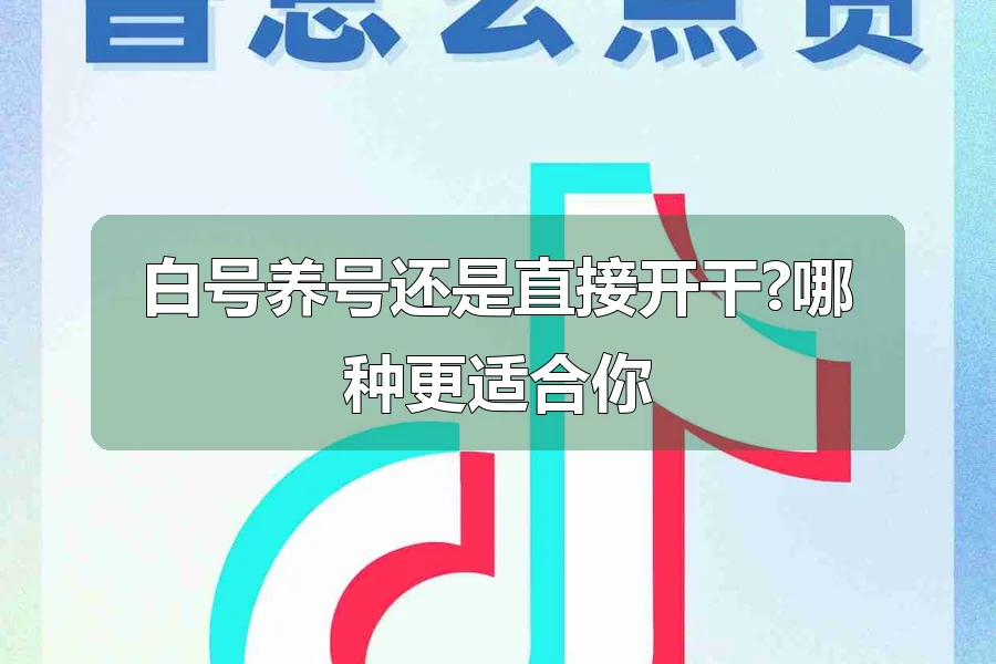 白号养号还是直接开干?哪种更适合你