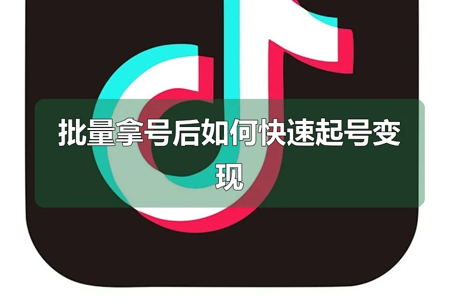 批量拿号后如何快速起号变现